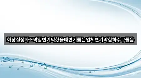 화장실정화조막힘변기막혔을때변기뚫는업체변기막힘하수구뚫음