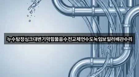 누수탐정싱크대변기막힘뚫음수전교체언수도녹임보일러배관수리
