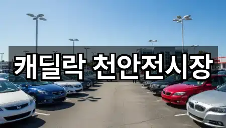 캐딜락 천안전시장