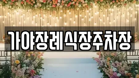 가야장례식장주차장