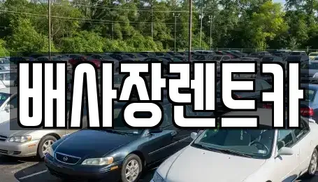 강원 철원군 철원읍 렌트카 전문 배사장렌트카