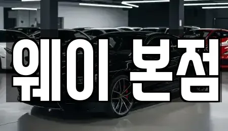경기 군포시 금정동 단기렌트카 전문 웨이 본점