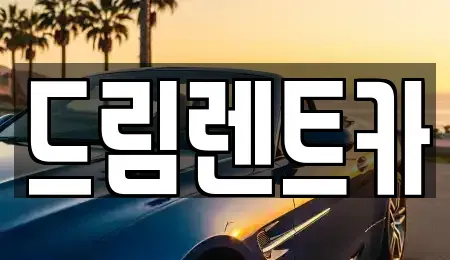 경기 군포시 금정동 렌트카 전문 드림렌트카