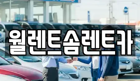 경기 군포시 금정동 렌트카 전문 월렌트솜렌트카