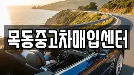 경기 군포시 금정동 중고차매입 전문 목동중고차매입센터