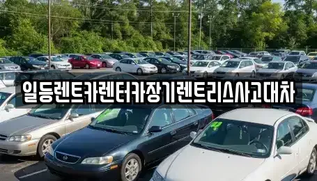 경기 시흥시 과림동 렌트카 전문 일등렌트카렌터카장기렌트리스사고대차