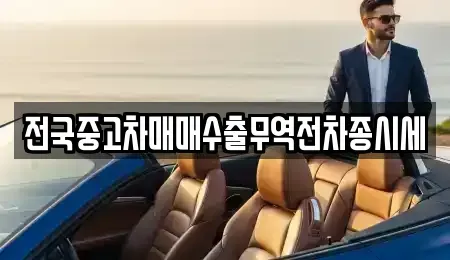 경기 시흥시 과림동 중고차매매 전문 전국중고차매매수출무역전차종시세