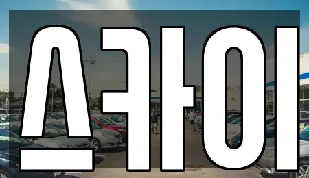 경기 양평군 서종면 렌트카 전문 스카이