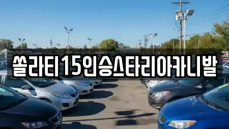 경기 양평군 서종면 렌트카 전문 쏠라티15인승스타리아카니발