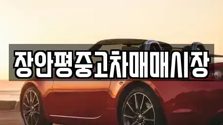 경기 양평군 서종면 중고차매매 전문 장안평중고차매매시장