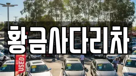 경기 양평군 서종면 중고차매입 전문 황금사다리차