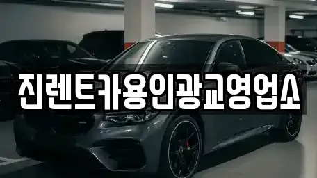경기 용인시 처인구 김량장동 렌트카 전문 진렌트카용인광교영업소
