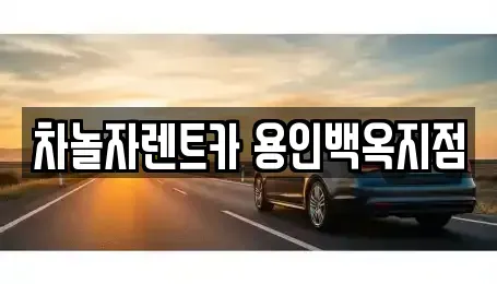 경기 용인시 처인구 김량장동 렌트카 전문 차놀자렌트카 용인백옥지점