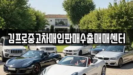 경기 용인시 처인구 김량장동 중고차매입 전문 김프로중고차매입판매수출매매센터