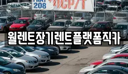 경기 이천시 율현동 장기렌트카 전문 월렌트장기렌트플랫폼직카