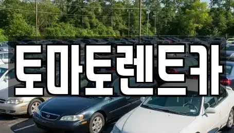 경기도 가평군 가평읍 렌트카 전문 토마토렌트카