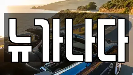 경기도 고양시 덕양구 행주외동 렌트카 전문 뉴가나다