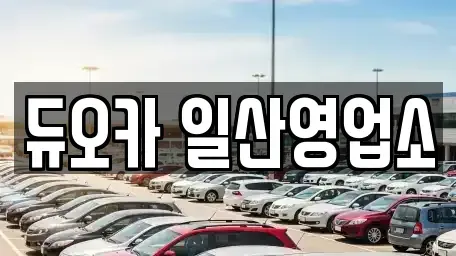 경기도 고양시 덕양구 행주외동 렌트카 전문 듀오카 일산영업소