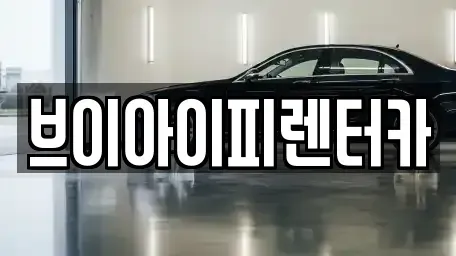 경기도 고양시 덕양구 행주외동 렌트카 전문 브이아이피렌터카