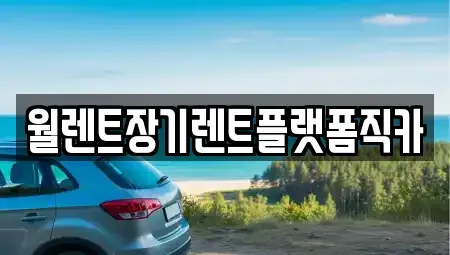 경기도 고양시 덕양구 화전동 장기렌트카 전문 월렌트장기렌트플랫폼직카