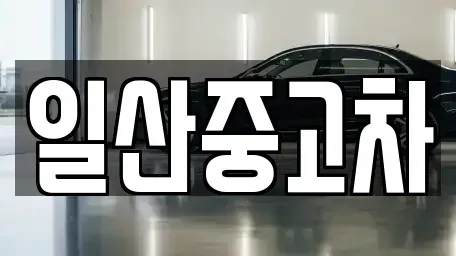 경기도 고양시 덕양구 화전동 중고차매매 전문 일산중고차