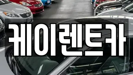 경기도 고양시 일산서구 대화동 단기렌트카 전문 케이렌트카