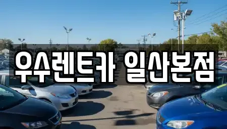 경기도 고양시 일산서구 대화동 렌트카 전문 우수렌트카 일산본점