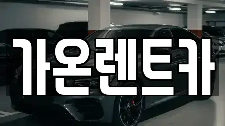 경기도 고양시 일산서구 대화동 장기렌트카 전문 가온렌트카