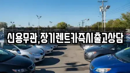 경기도 고양시 일산서구 대화동 장기렌트카 전문 신용무관,장기렌트카즉시출고상담