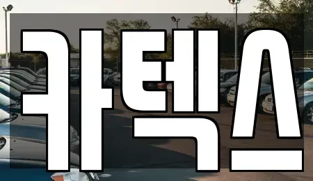 경기도 고양시 일산서구 대화동 장기렌트카 전문 카텍스
