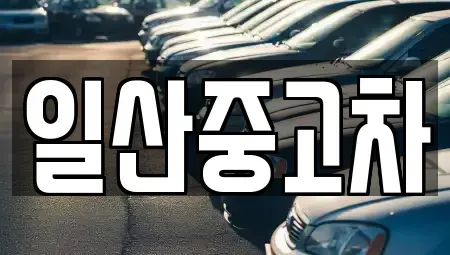 경기도 고양시 일산서구 대화동 중고차매매 전문 일산중고차