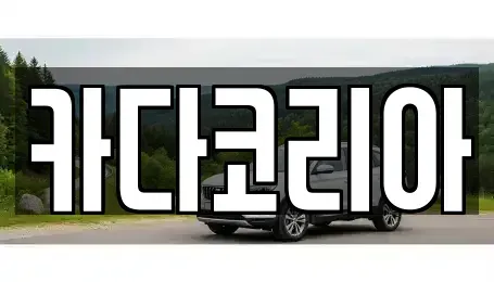 경기도 고양시 일산서구 대화동 중고차매매,단기렌트카,중고차매입,장기렌트카,중고차,렌트카