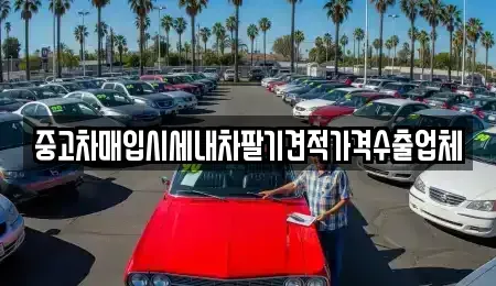 경기도 고양시 일산서구 대화동 중고차매입 전문 중고차매입시세내차팔기견적가격수출업체