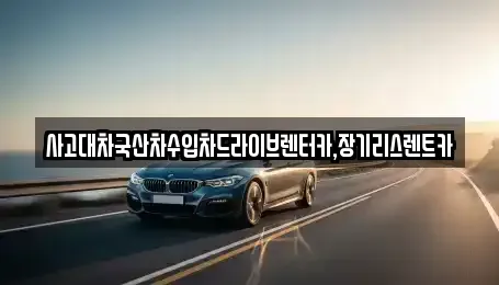 경기도 시흥시 은행동 장기렌트카 전문 사고대차국산차수입차드라이브렌터카,장기리스렌트카