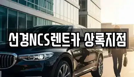 경기도 안산시 상록구 렌트카 전문 선경NCS렌트카 상록지점