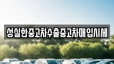 경기도 안산시 상록구 중고차매입 전문 성실한중고차수출중고차매입시세