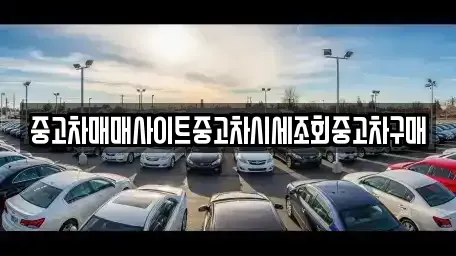 경기도 양주시 만송동 중고차 전문 중고차매매사이트중고차시세조회중고차구매