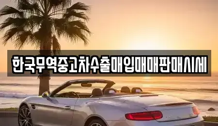 경기도 양주시 만송동 중고차매입 전문 한국무역중고차수출매입매매판매시세