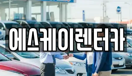 경기도 용인시 기흥구 보라동 장기렌트카 전문 에스케이렌터카