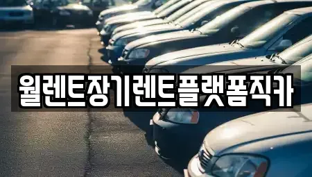 경기도 하남시 감북동 장기렌트카 전문 월렌트장기렌트플랫폼직카