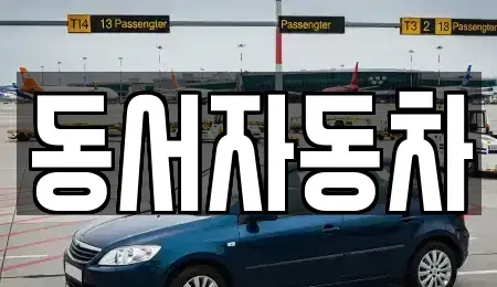 경남 김해시 응달동 중고차 전문 동서자동차