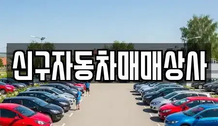 경남 김해시 응달동 중고차 전문 신구자동차매매상사