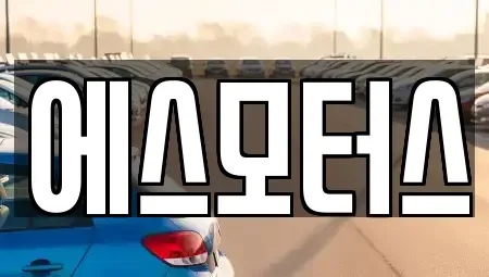 경남 창원시 마산합포구 장군동5가 중고차 전문 에스모터스