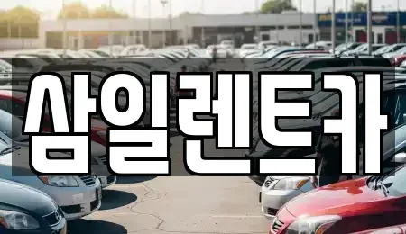 경남 창원시 진해구 렌트카 전문 삼일렌트카
