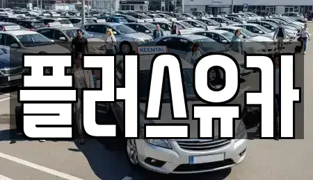 경남 창원시 진해구 중고차 전문 플러스유카