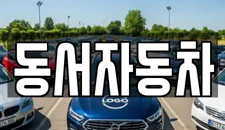 경남 통영시 중앙동 중고차 전문 동서자동차