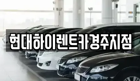 경북 경주시 용강동 렌트카 전문 현대하이렌트카경주지점