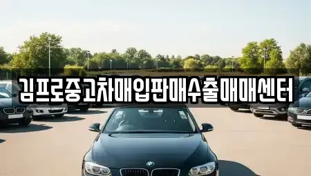 경북 김천시 모암동 중고차 전문 김프로중고차매입판매수출매매센터