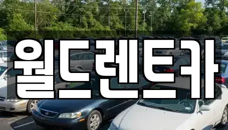경북 안동시 풍산읍 단기렌트카 전문 월드렌트카