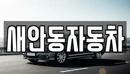 경북 안동시 풍산읍 중고차매매 전문 새안동자동차